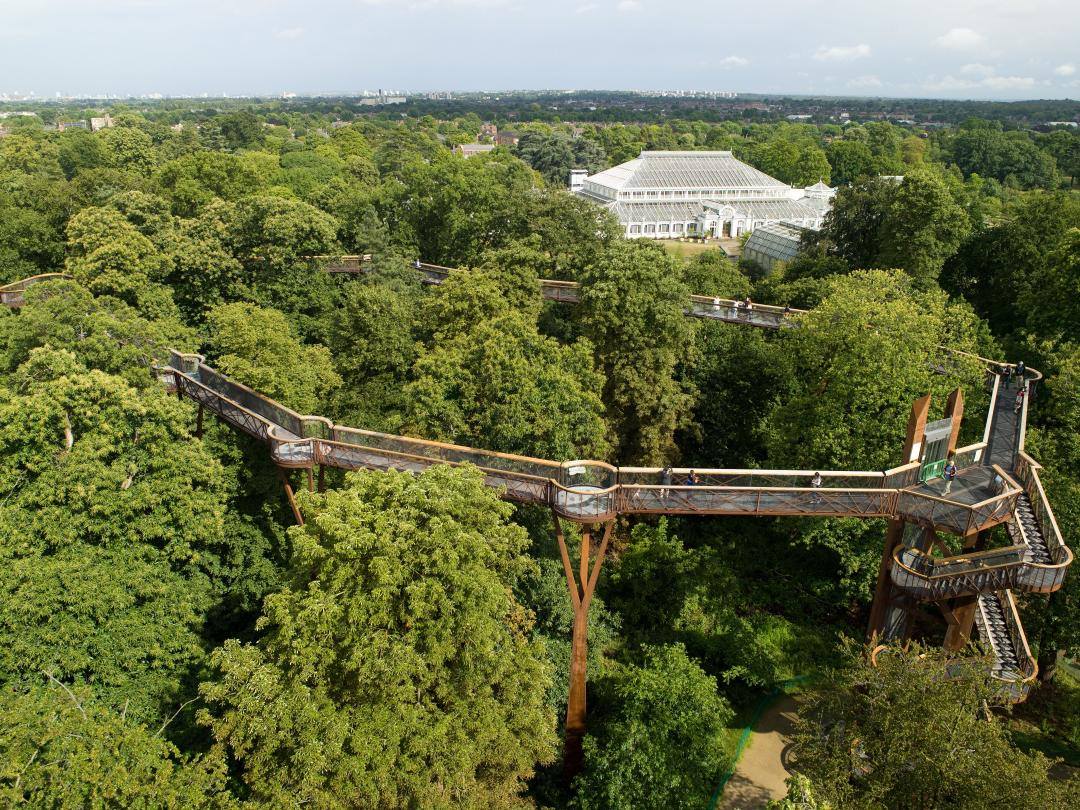 example bridge image